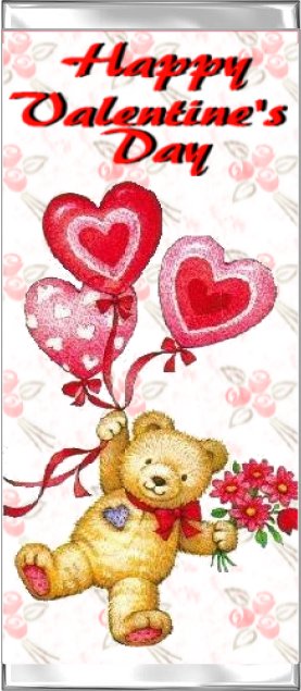 teddybearrosebkgrdvertical.jpg (51591 bytes)